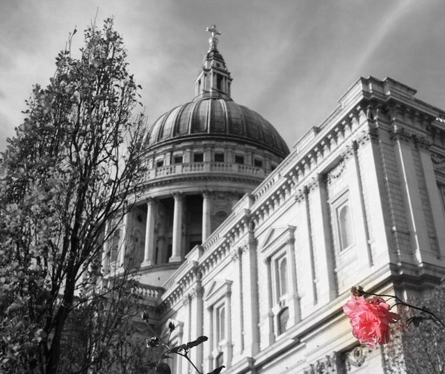 20081119_stpaulscathedral_113